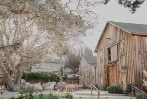 Rustic outdoor setting with wooden buildings, large tree, string lights, and furnished patio area.