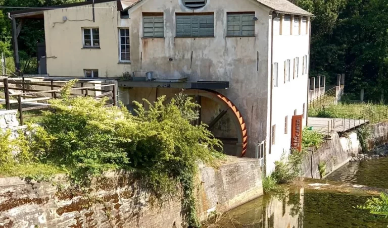 20230220133222 museo della carta di mele 2 768x452