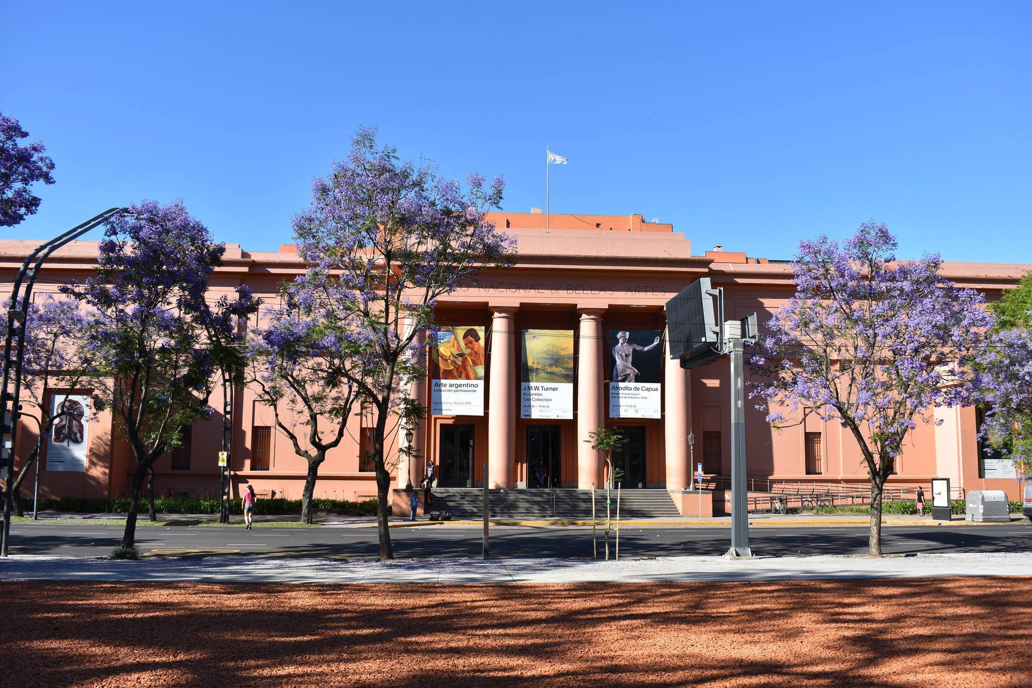 A classical building with tall columns and exhibition banners, purple trees in the foreground, clear sky.