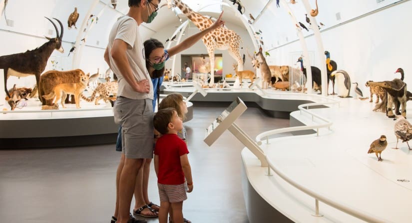 Family with two children viewing taxidermy animals in a modern, well-lit museum exhibit.