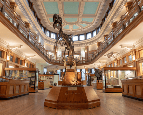 Interior museum view with two-level galleries, high ceilings, dinosaur skeleton in center, exhibits.