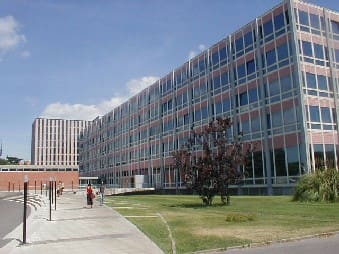 Large office building with glass windows, paved walkway, landscaping, and clear sunny sky.