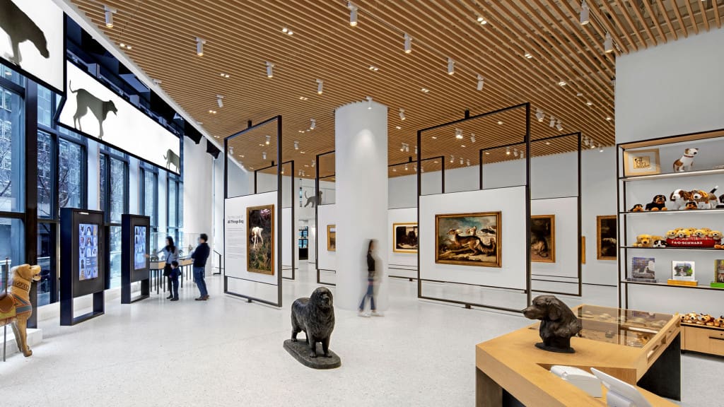 Modern museum interior featuring dog-themed paintings, sculptures, stuffed animals, and visiting guests.