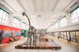 Interior museum room with large windows, dinosaur skeleton in center, various displays around.