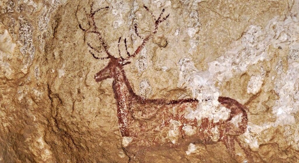 Prehistoric cave painting of a deer with large antlers in red pigment on a textured rock surface.