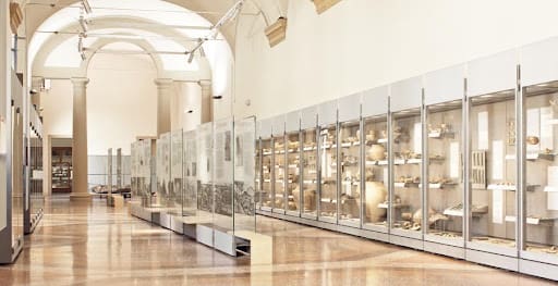 Spacious museum gallery with glass display cases, artifacts, polished floors, and arched ceilings.