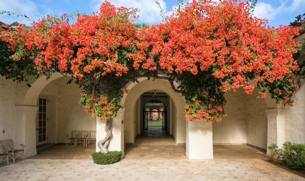 Courtyard with stone tiles, archway with red-orange flowers, wrought iron gates, and decorative benches.