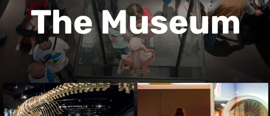 Museum visitors observe human anatomy and skeleton exhibits, and a large engine display.