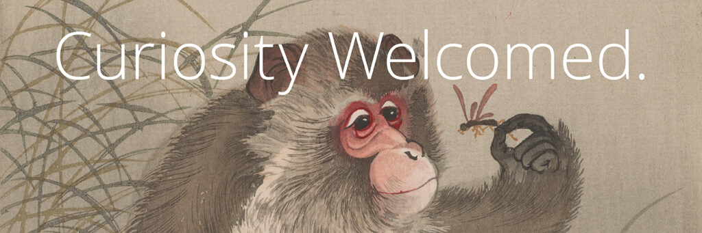 Monkey examining an insect with "Curiosity Welcomed" text over abstract natural background.