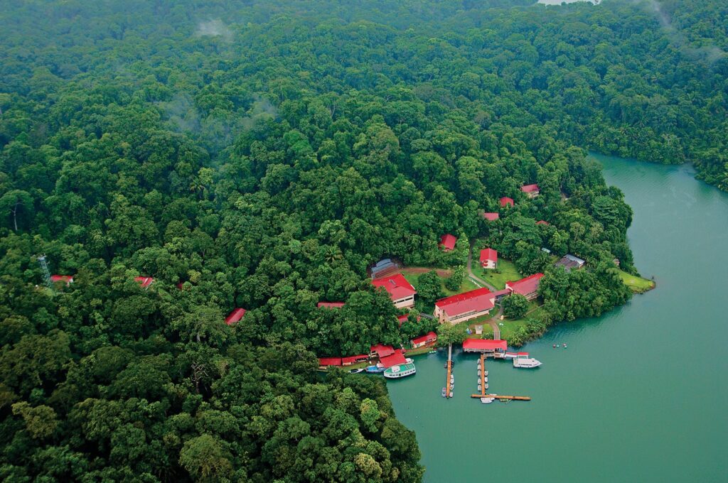 Aerial view of red-roofed buildings, docks, and boats near a lush forest and large body of water.