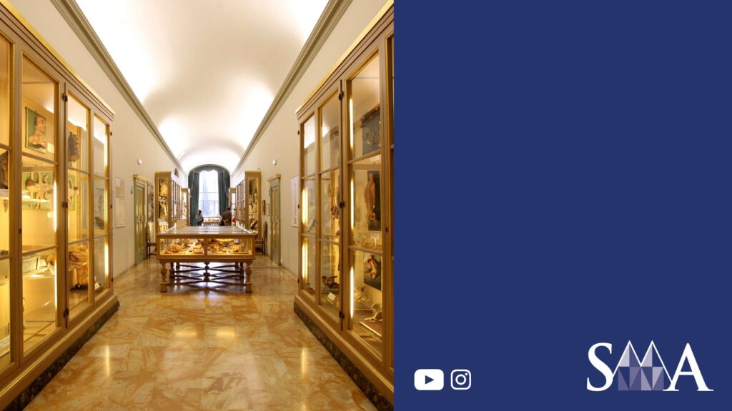Museum hallway with marble floor, display cases, and "SMA" text on a navy blue section.