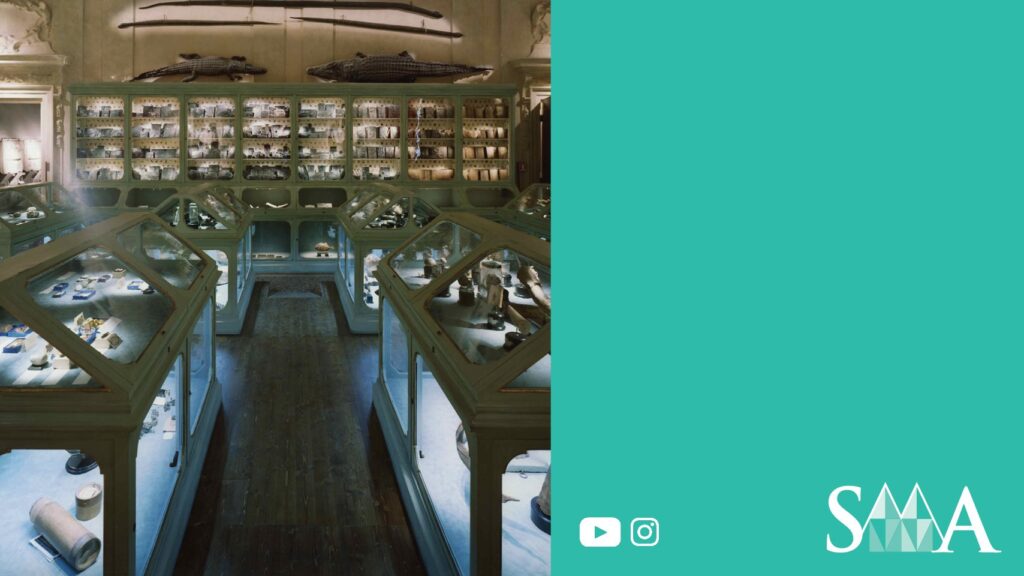 Museum exhibit room with artifacts, crocodile, bones, teal background, SMA logo, social icons.