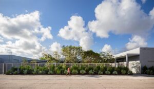 Person walking by a chain-link fence with plants, trees, industrial buildings, and partly cloudy sky.