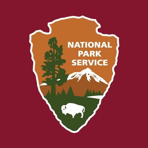 NPS