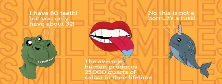 dental museum 768x292