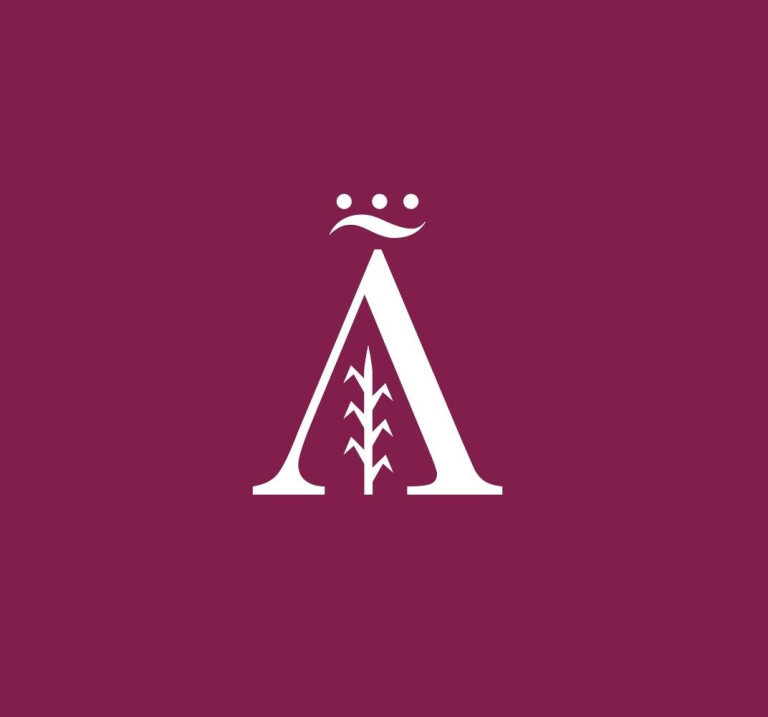acaniz logo 768x717
