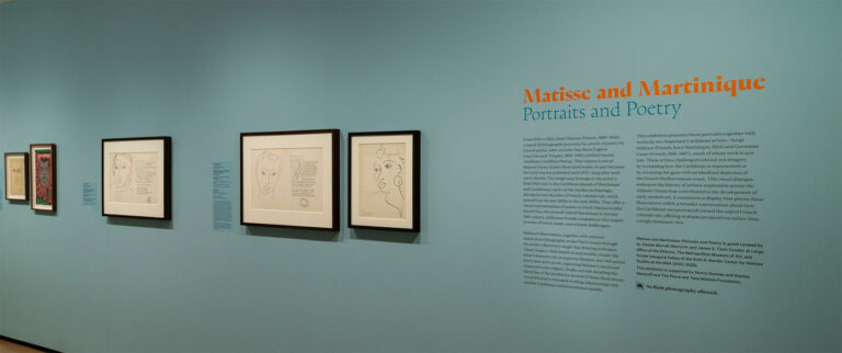 mattisse12@0.5x 768x322