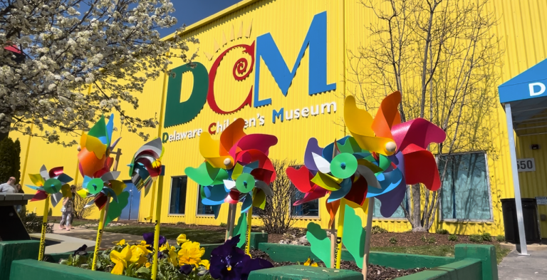 dcm 768x393